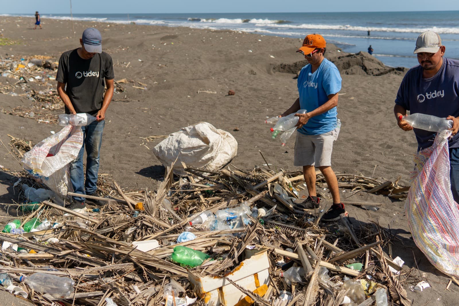 Microplastics in the Brain: What the 2025 Research Found and What We Still Don't Know